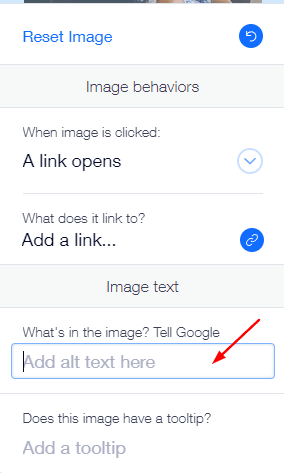חלון הגדרות התמונה ב-Wix: באזור Image text מסומן בחץ השדה What's in the image? Tell Google להזנת הטקסט החלופי