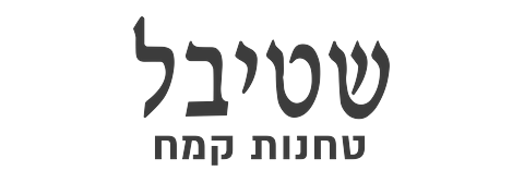 שטיבל