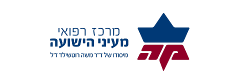 מעייני הישועה