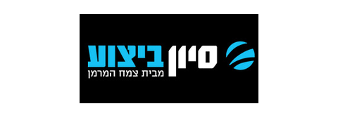 סיוון ביצוע
